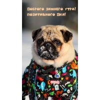 Доброго зимнего утра! Позитивного дня!