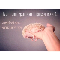 Пусть сны приносят отдых и покой