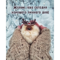 Желаю тебе сегодня хорошего зимнего дня!