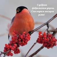С добрым февральским утром, С последним месяцем зимы!