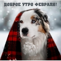 Доброе утро февраля!