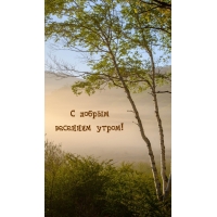 С добрым весенним утром!