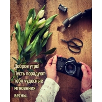 Доброе утро! Пусть порадуют тебя чудесные мгновения весны.
