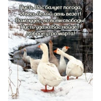 Пусть удача Вас найдёт! Доброе утро марта!