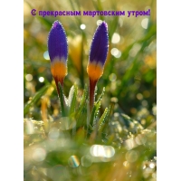 С прекрасным мартовским утром!