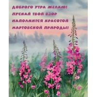 Пускай твой взор наполнится красотой мартовской природы!