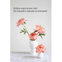 Доброе мартовское утро! Наслаждайся каждым мгновением!