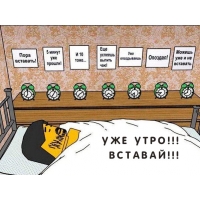 Уже утро! Вставай!