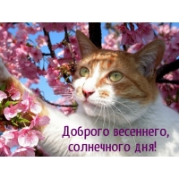 Доброго весеннего, солнечного дня!