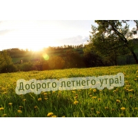 Доброго летнего утра!