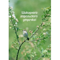 Шикарного апрельского утречка!