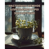 Наступило нежное апрельское утро! Здравствуй!