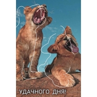 Удачного дня!