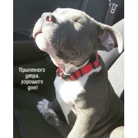 Приятного утра, хорошего дня!