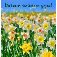 Доброе майское утро!