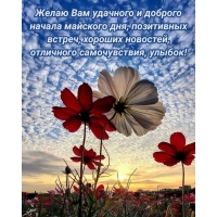 Желаю Вам удачного и доброго начала майского дня