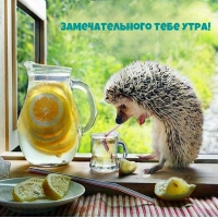 Замечательного тебе утра!