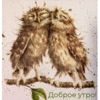 Доброе утро!