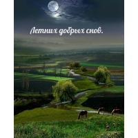 Летних добрых снов.