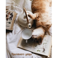 Приятного утра.