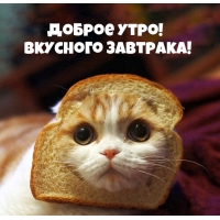 Доброе утро! Вкусного завтрака!