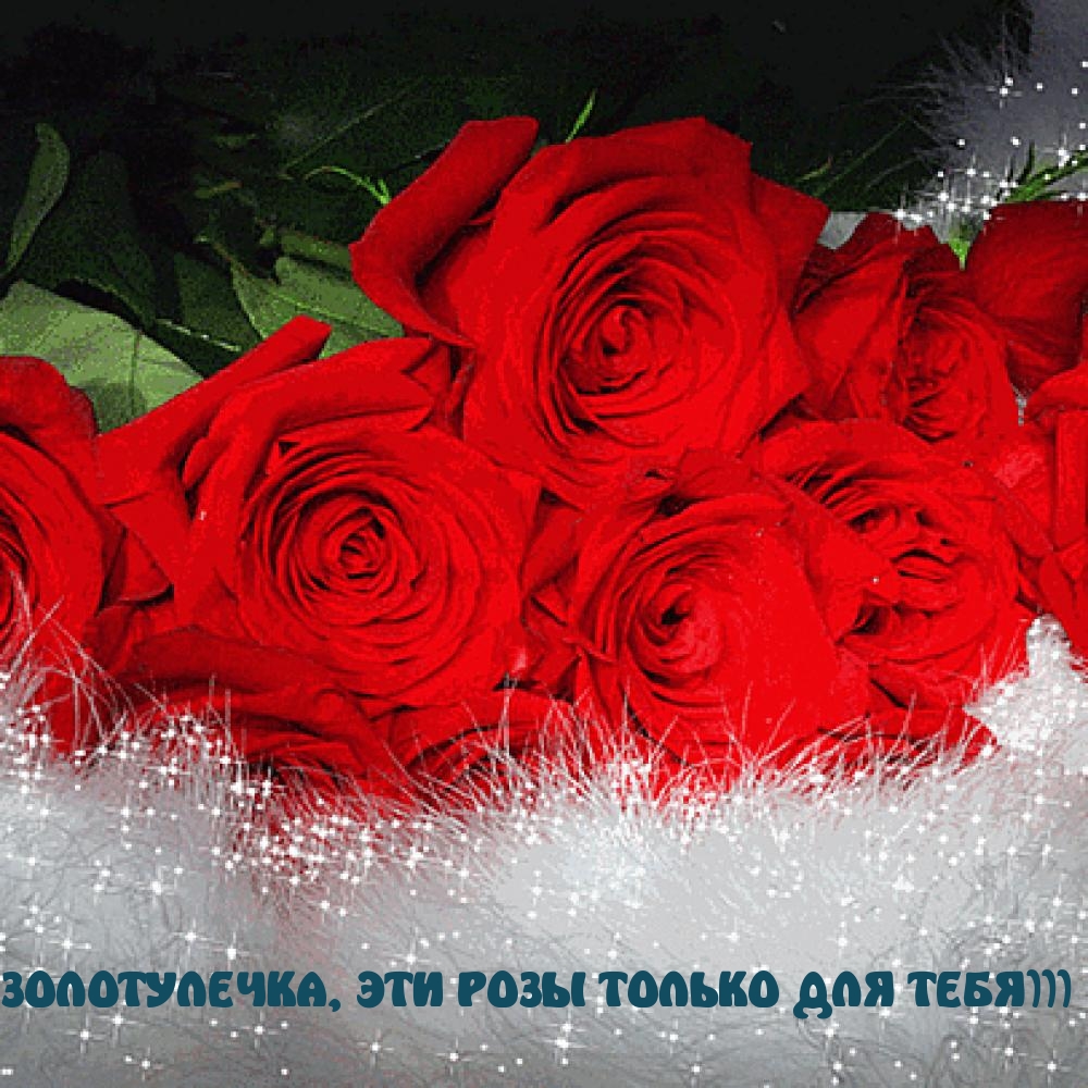 Розы тебе
