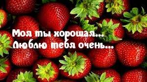 Люблю тебя очень