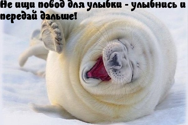 Передай улыбку