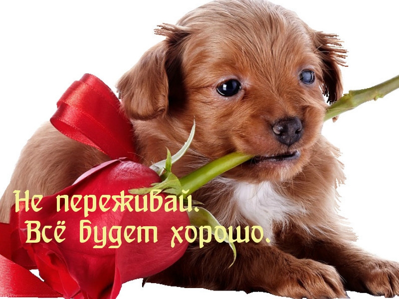 Всё будет хорошо.