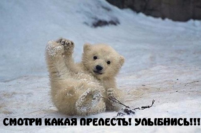 Улыбнись!