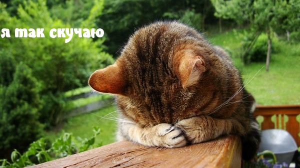 Я так скучаю