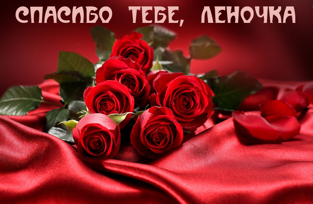 СПАСИБО ТЕБЕ, ЛЕНОЧКА