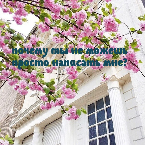 Напиши мне!