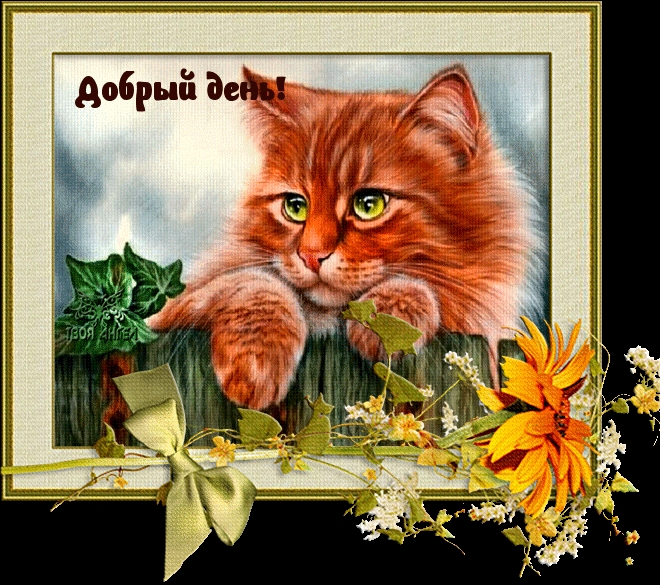 Добрый день!