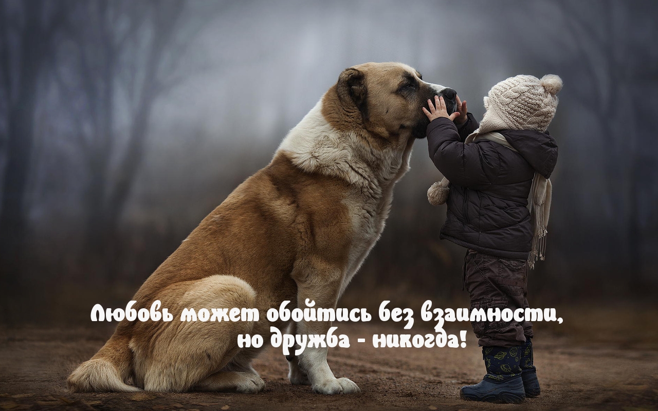 Взаимность в дружбе