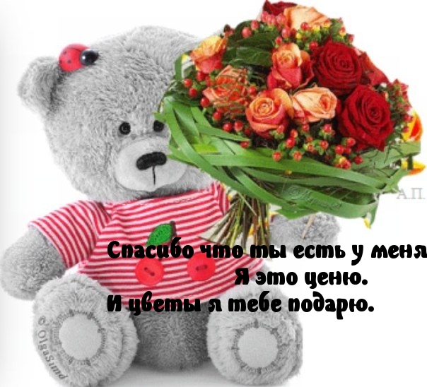Спасибо, что ты есть!