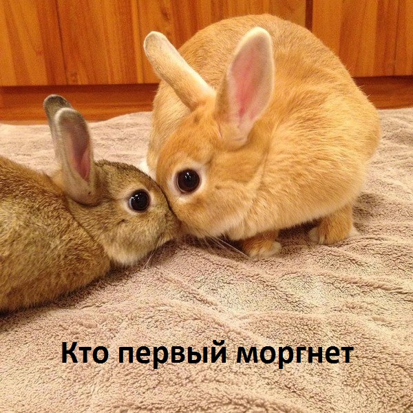 Игра в гляделки