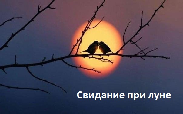 Свидание при луне