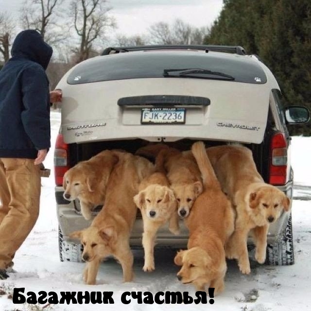 Багажник счастья!