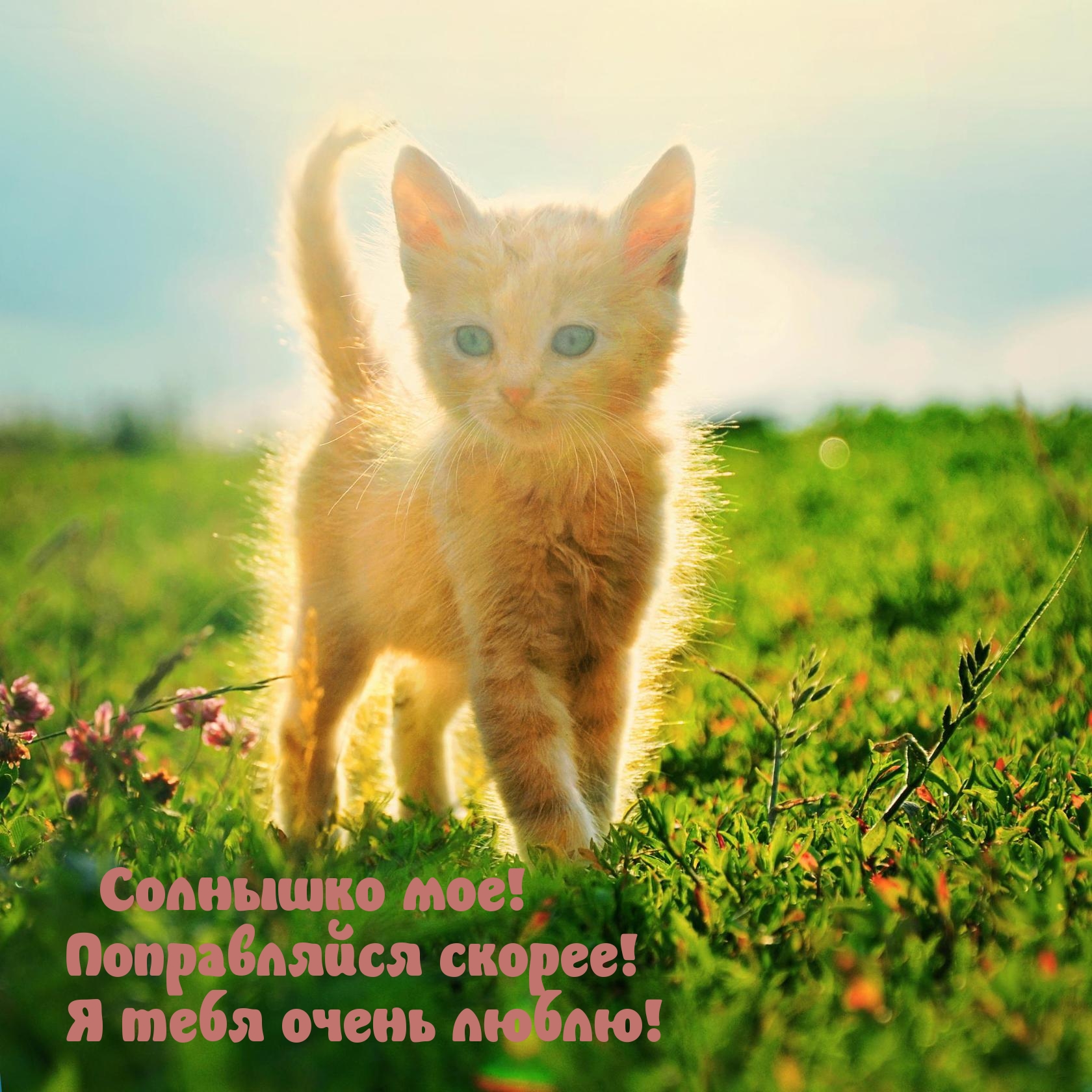 Я тебя очень люблю!