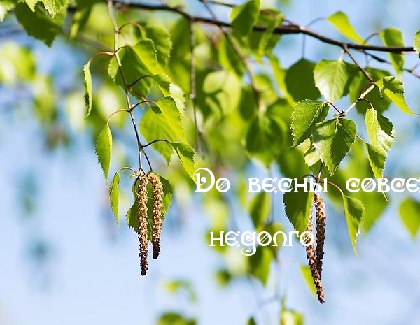 Весна скоро
