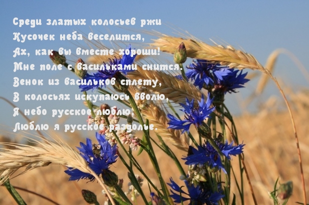 Русское раздолье
