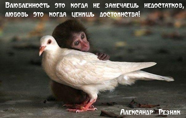 О настоящей любви