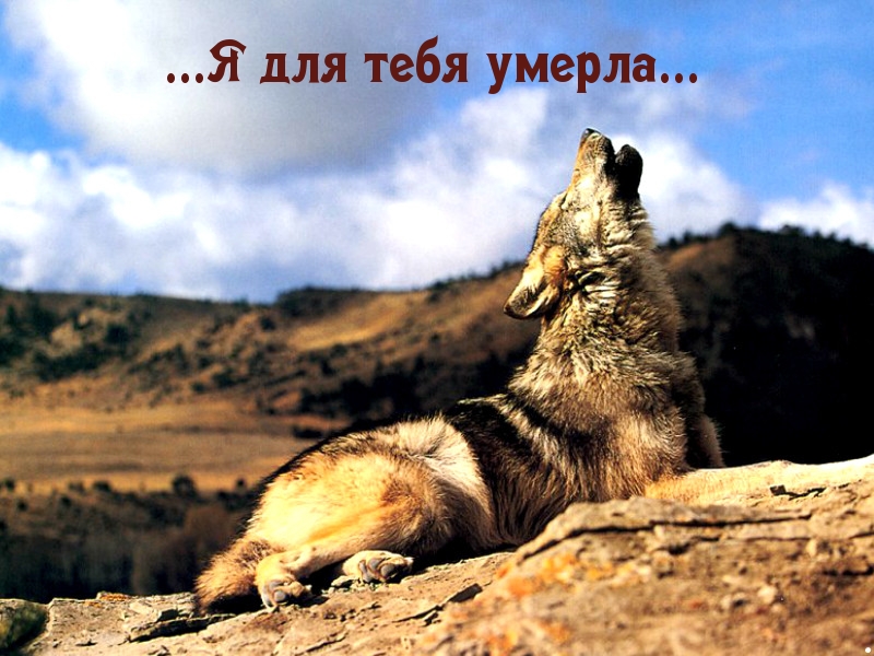 Я для тебя умерла
