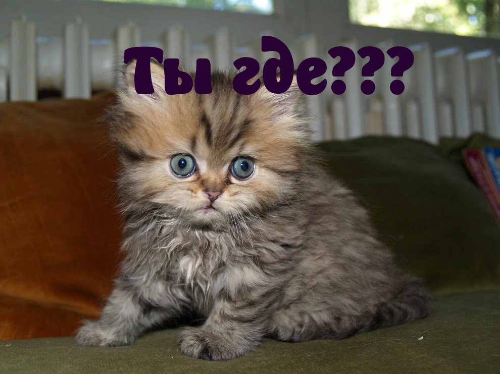 Ты где?
