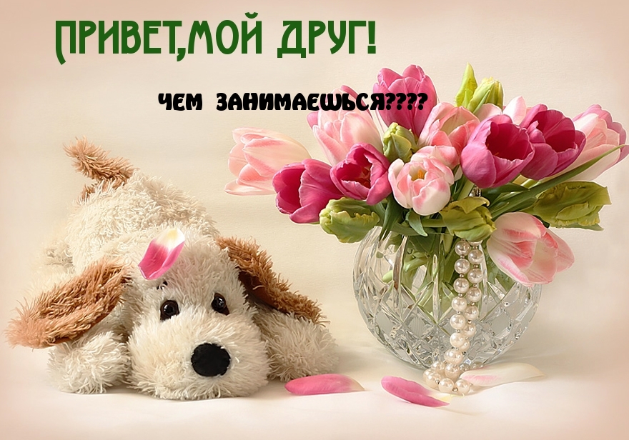 Привет мой друг