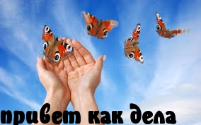 Картинки с надписями.  привет как дела.