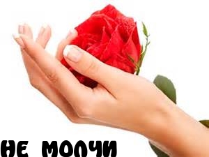 НЕ  МОЛЧИ