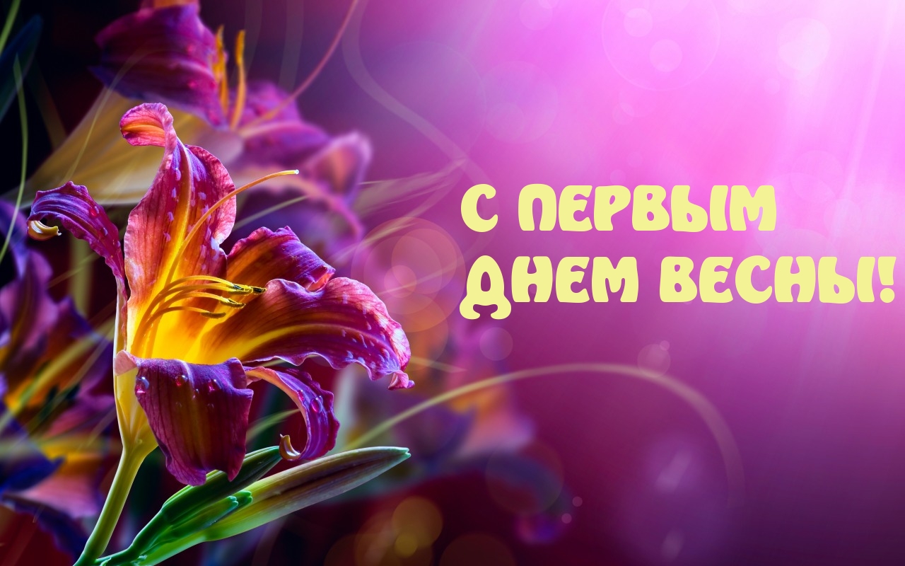 С ПЕРВЫМ  ДНЕМ ВЕСНЫ!