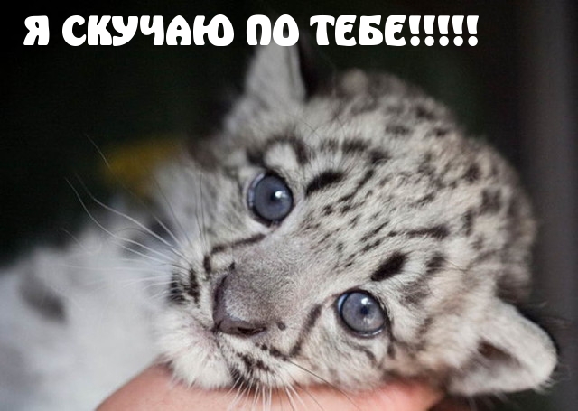Я СКУЧАЮ ПО ТЕБЕ!